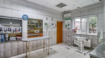 Центр ветеринарной медицины на Белорусской улице изображение 8