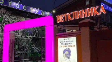 Центр ветеринарной медицины на Белорусской улице изображение 11