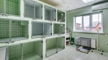 Центр ветеринарной медицины на Белорусской улице изображение 6